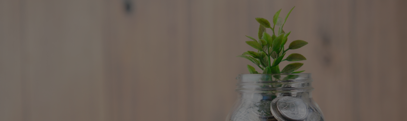 green plant growing in a jar of money